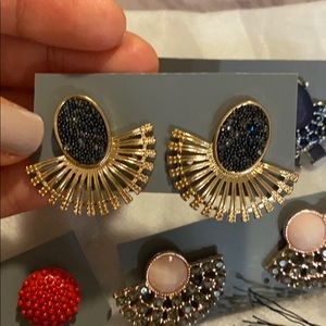 Beautiful elegant earrings